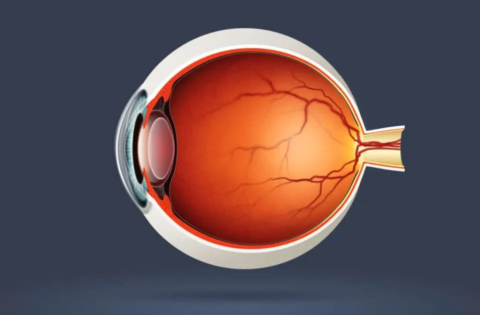 Antalya Retinal Detachment