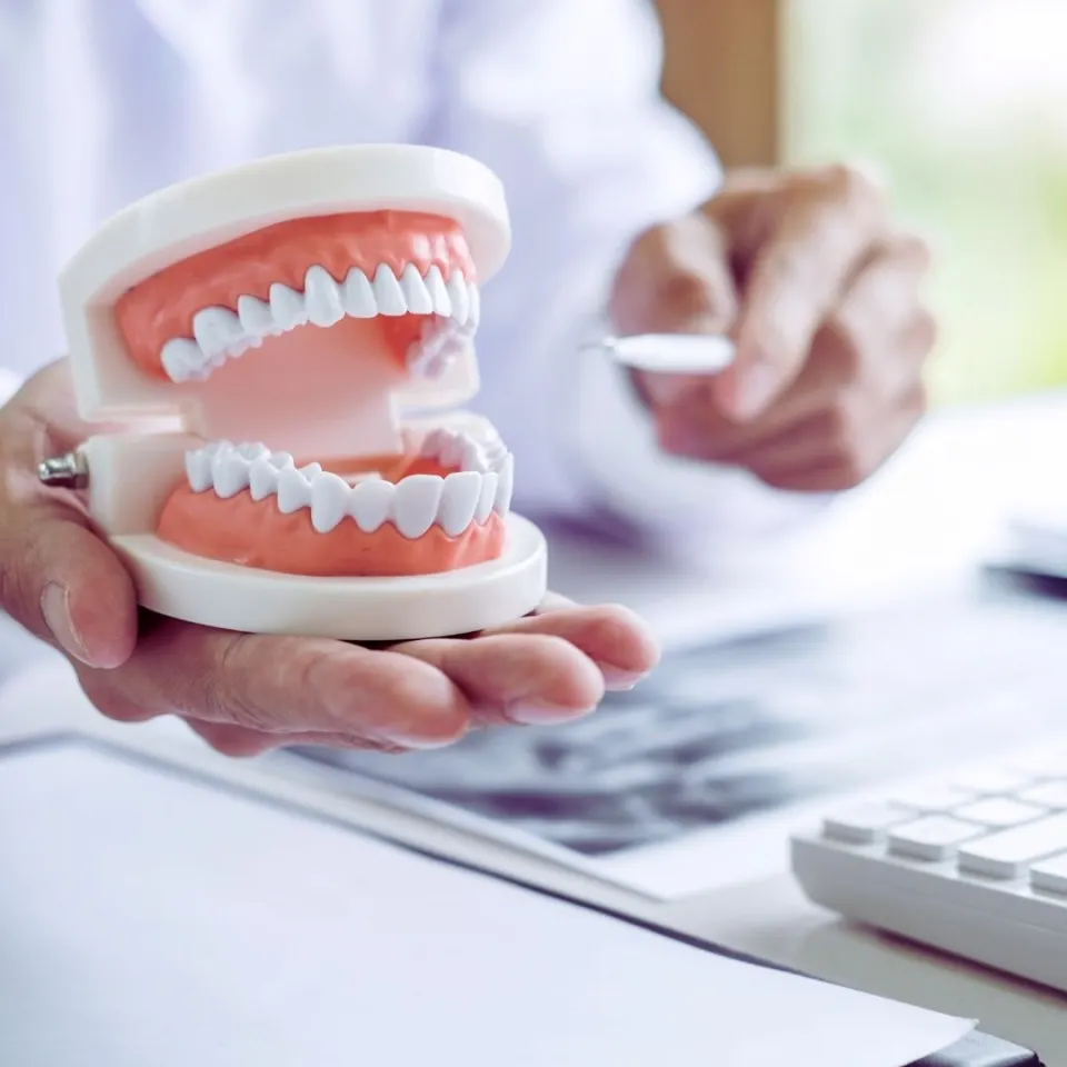 Antalya tooth numbering
